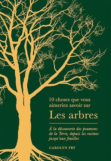 10 choses que vous ameriez savoir sur les arbres