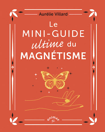 Le mini-guide du magnétisme