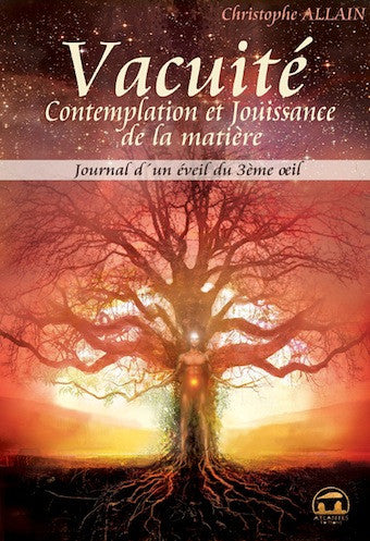Journal d'un éveil du 3e oeil - Vacuité (Tome 3)