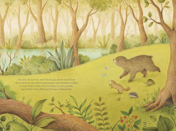 Au cœur de la forêt