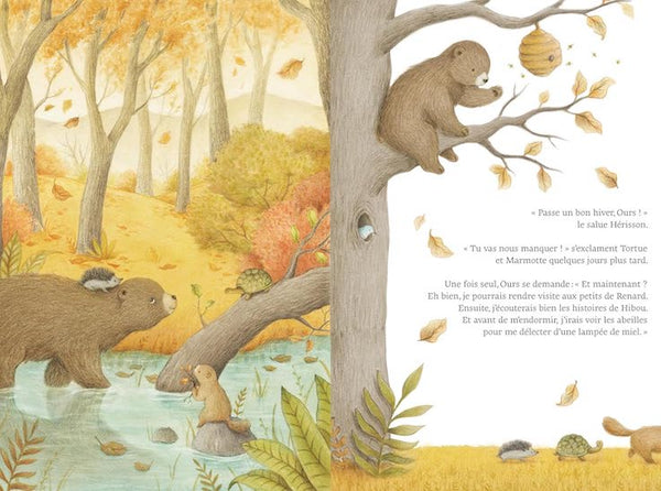 Au cœur de la forêt