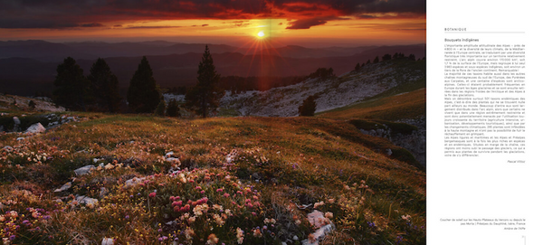 Alpes - Suisse, France, Italie - 2ème édition