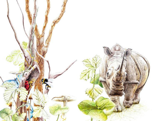 Consciences animales