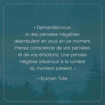 L'Appel du moment présent - 52 cartes pour calmer l'esprit et vivre dans l'ici et maintenant