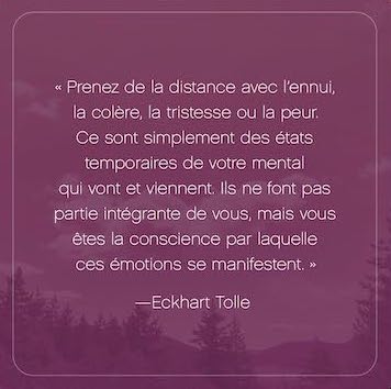 L'Appel du moment présent - 52 cartes pour calmer l'esprit et vivre dans l'ici et maintenant