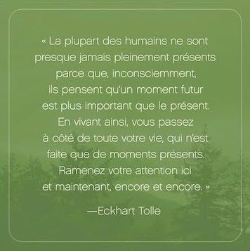 L'Appel du moment présent - 52 cartes pour calmer l'esprit et vivre dans l'ici et maintenant