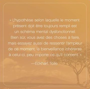 L'Appel du moment présent - 52 cartes pour calmer l'esprit et vivre dans l'ici et maintenant