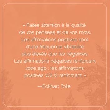 L'Appel du moment présent - 52 cartes pour calmer l'esprit et vivre dans l'ici et maintenant