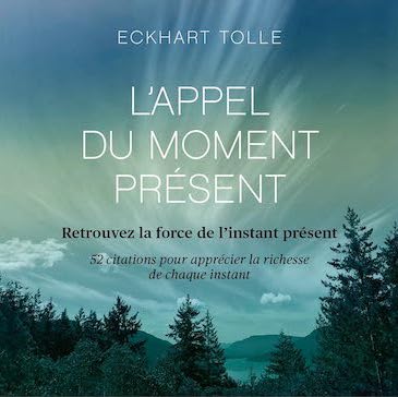 L'Appel du moment présent - 52 cartes pour calmer l'esprit et vivre dans l'ici et maintenant