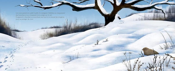 L'oiseau de l'hiver
