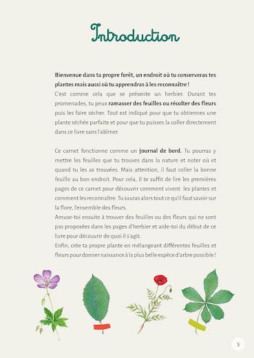 Mon premier herbier - Fleurs et feuilles