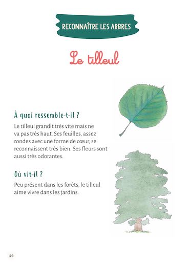 Mon premier herbier - Fleurs et feuilles