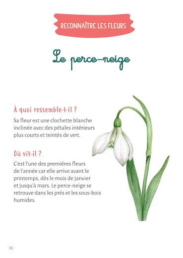 Mon premier herbier - Fleurs et feuilles