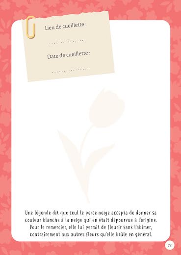 Mon premier herbier - Fleurs et feuilles