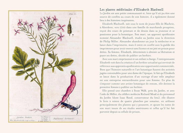 Plantes guérisseuses - 50 cartes botaniques illustrées