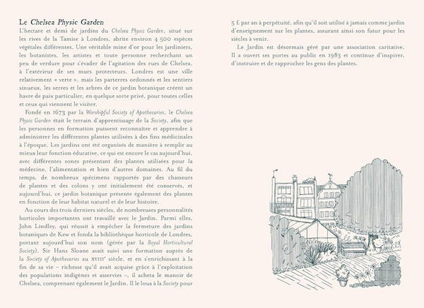 Plantes guérisseuses - 50 cartes botaniques illustrées