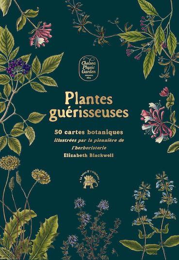 Plantes guérisseuses - 50 cartes botaniques illustrées