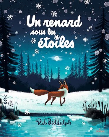 Un renard sous les étoiles