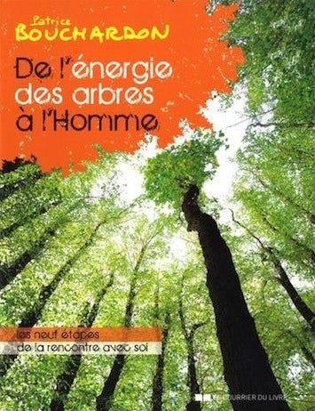 De l'énergie des arbres à l'Homme