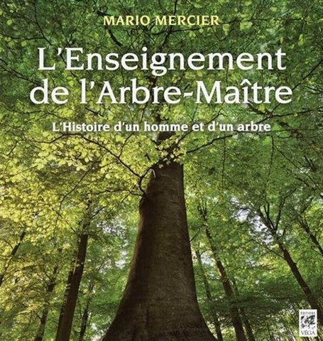 L'Enseignement de l'Arbre-Maître